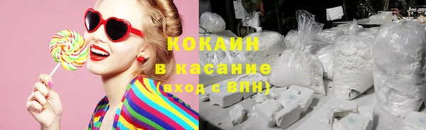 гашик Алексеевка