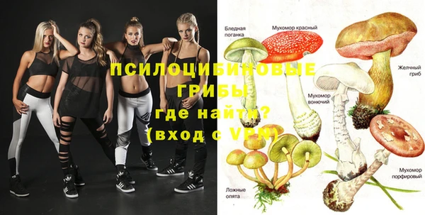 гашик Алексеевка