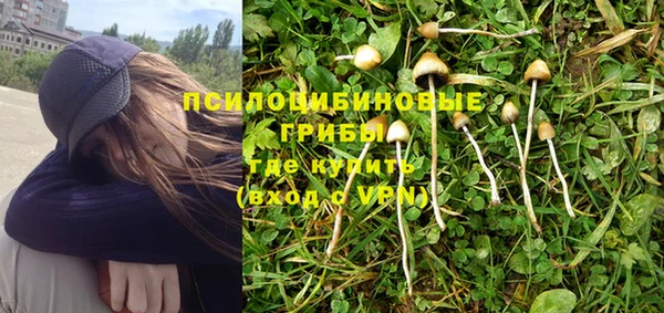 прущая мука Алзамай