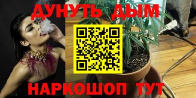 ПСИЛОЦИБИНОВЫЕ ГРИБЫ Кулебаки