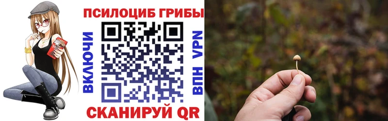 как найти   Каменка  kraken ONION  Галлюциногенные грибы GOLDEN TEACHER 