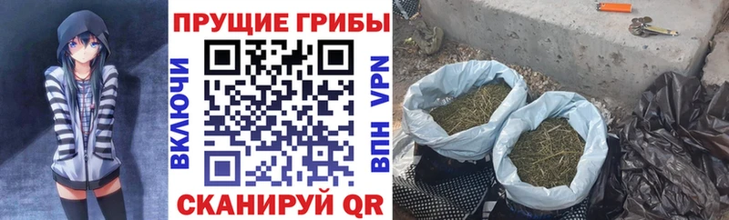 Галлюциногенные грибы ЛСД Каменка